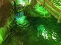 IMG_2507